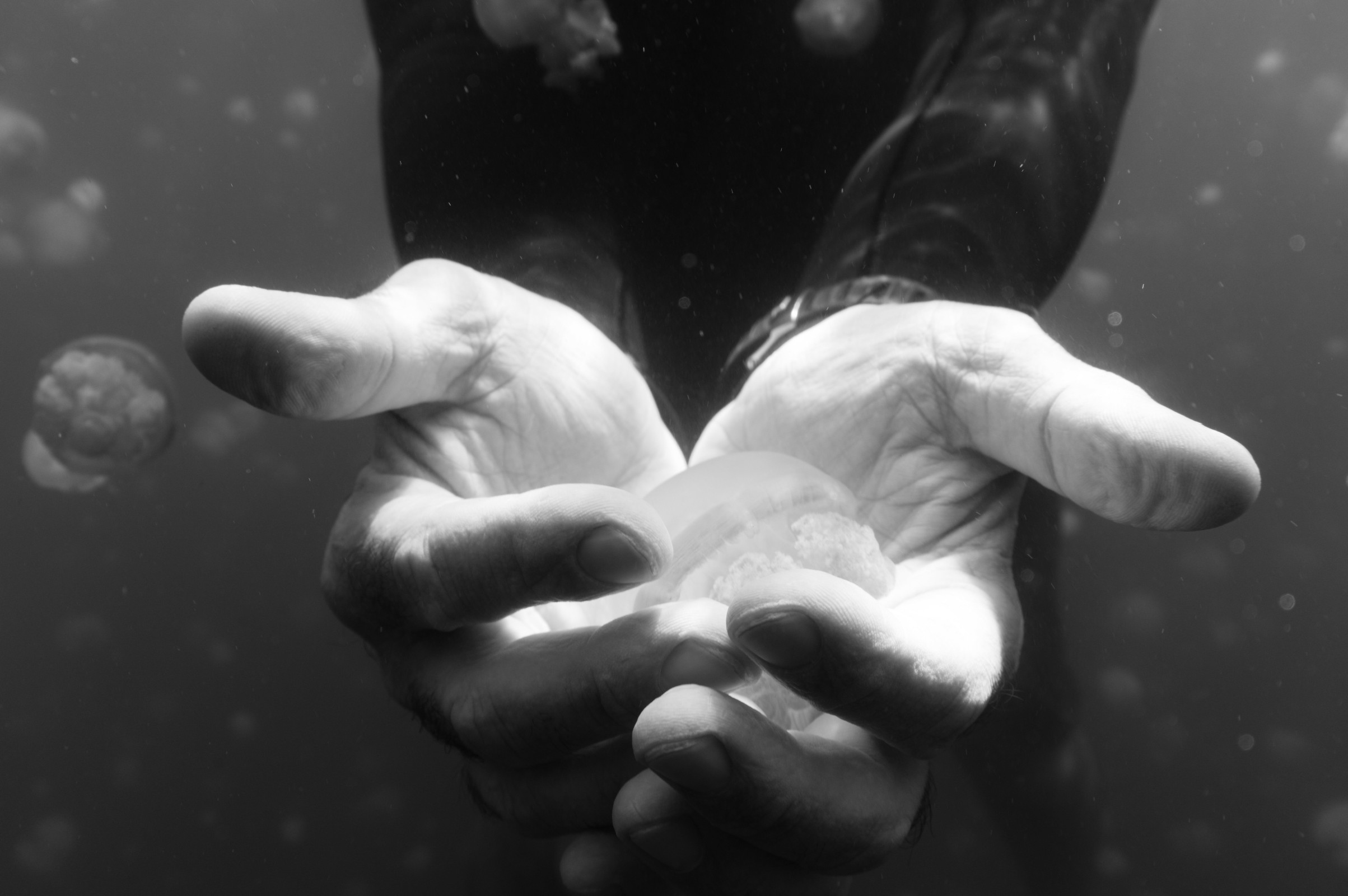 Freediver with a jellfish in his hands